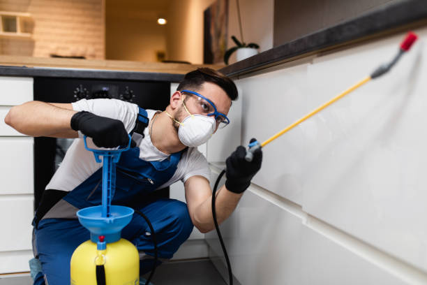 Best Mosquito Control Services  in Roy, UT