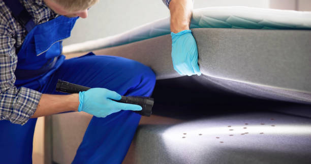 Best Best Pest Control Companies  in Roy, UT