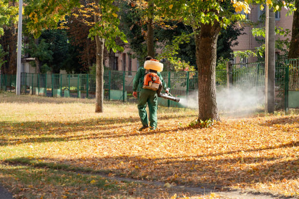 Best Pest Control for Restaurants  in Roy, UT