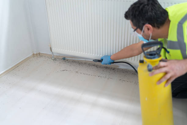 Best Mosquito Control Services  in Roy, UT