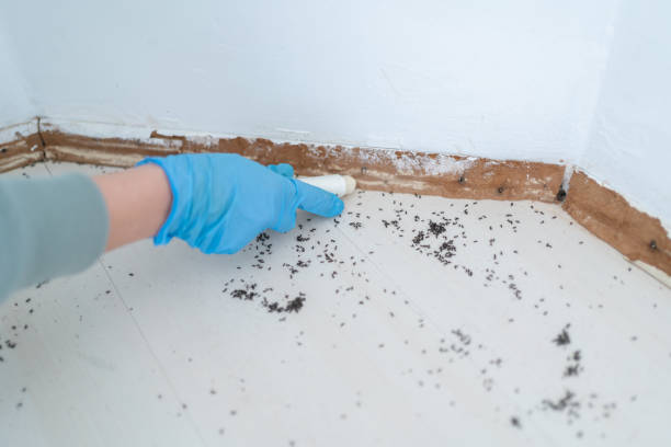 Best Pest Control for Restaurants  in Roy, UT