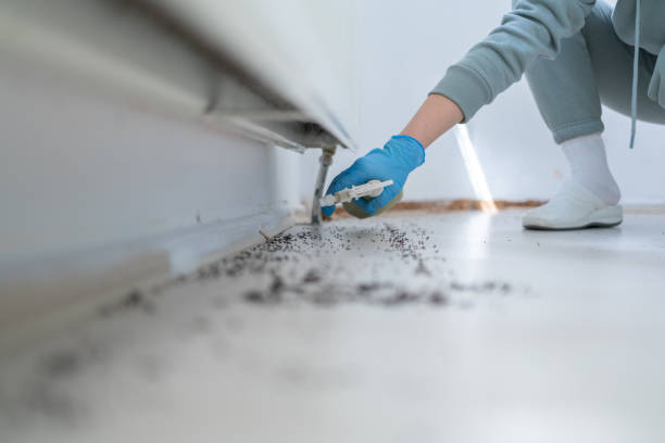 Best Exterminator Services  in Roy, UT