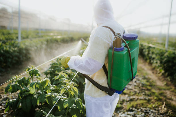 Best Best Pest Control Companies  in Roy, UT